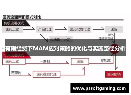 有限经费下MAM应对策略的优化与实施路径分析 有限经费下MAM应对策略的优化与实施路径分析