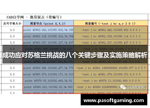 成功应对苏格兰挑战的八个关键步骤及实施策略解析 成功应对苏格兰挑战的八个关键步骤及实施策略解析