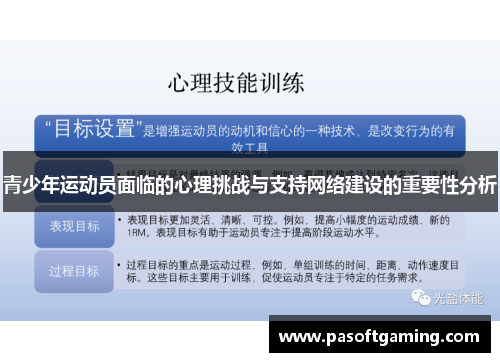 青少年运动员面临的心理挑战与支持网络建设的重要性分析