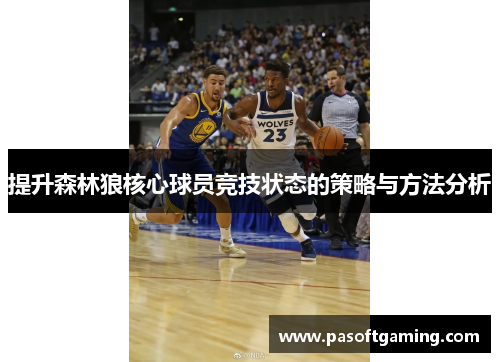 提升森林狼核心球员竞技状态的策略与方法分析