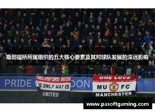 斯坦福桥所属组织的五大核心要素及其对球队发展的深远影响