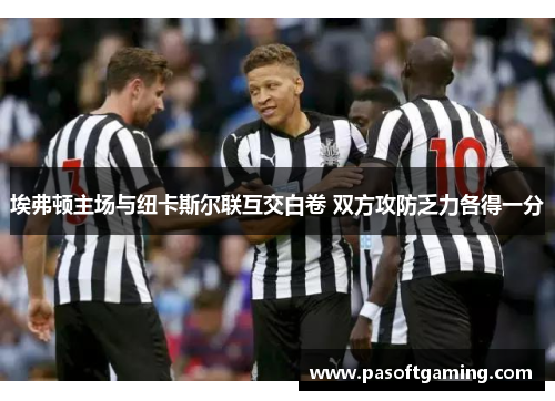 埃弗顿主场与纽卡斯尔联互交白卷 双方攻防乏力各得一分