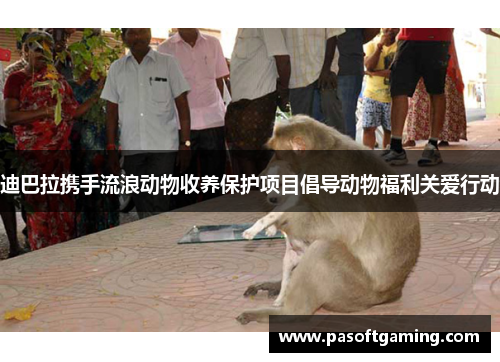 迪巴拉携手流浪动物收养保护项目倡导动物福利关爱行动