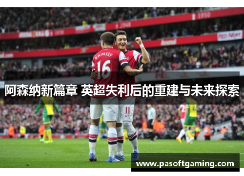 阿森纳新篇章 英超失利后的重建与未来探索