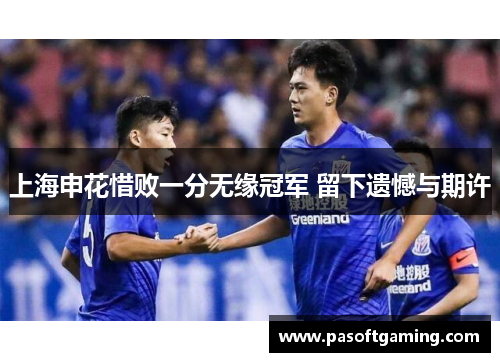 上海申花惜败一分无缘冠军 留下遗憾与期许 上海申花惜败一分无缘冠军 留下遗憾与期许