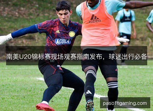南美U20锦标赛现场观赛指南发布，球迷出行必备